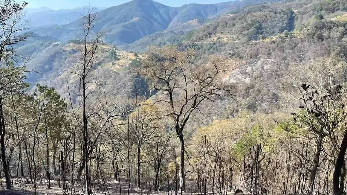 Incendio Forestal